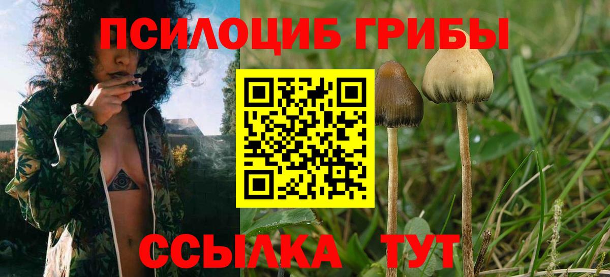 Галлюциногенные грибы Magic Shrooms  Псилоцибиновые грибы Psilocybine cubensis  Вход с VPN  Троицк 